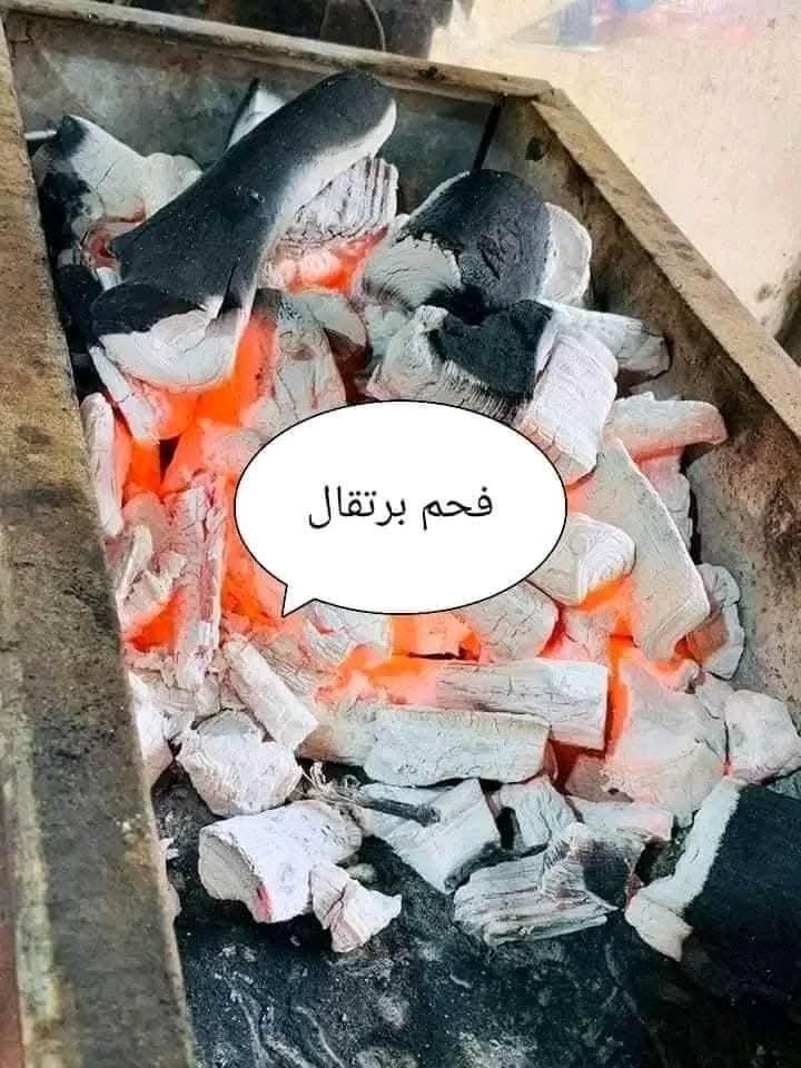 فحم الحمضيات الفاخر (برتقال وليمون)